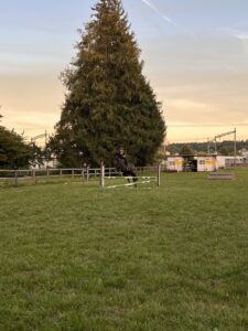 Pferdefreunde Langenthal - Galerie - Sommerspringkurs mit Elian Baumann