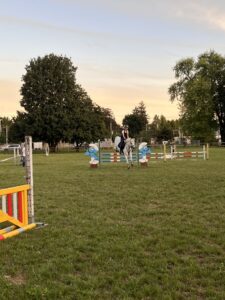 Pferdefreunde Langenthal - Galerie - Sommerspringkurs mit Elian Baumann