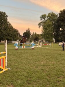 Pferdefreunde Langenthal - Galerie - Sommerspringkurs mit Elian Baumann