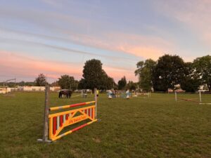 Pferdefreunde Langenthal - Galerie - Sommerspringkurs mit Elian Baumann