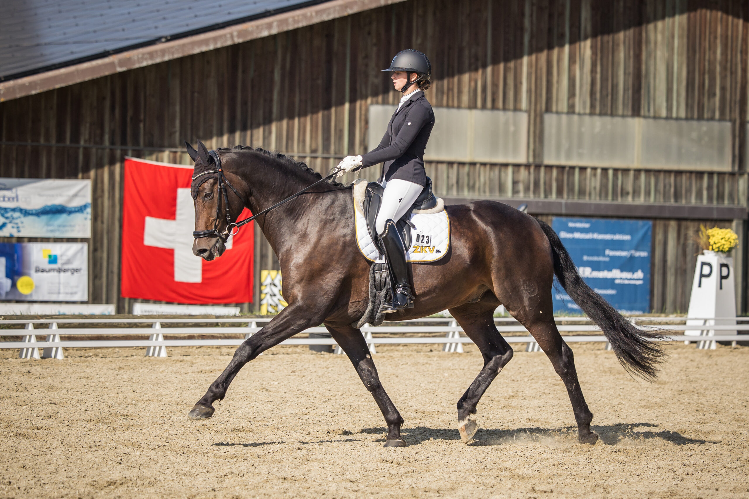Pferdefreunde Langenthal - Regionale Schweizermeisterschaft / RSM Dressur 2023