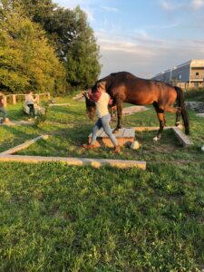 Horsetrail 2025 in Roggwil – Teilnehmerin führt Pferd über Naturhindernis