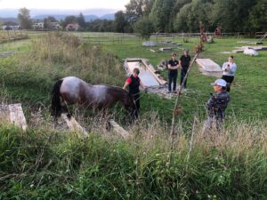 Horsetrail 2025 in Roggwil – Teilnehmerin führt Pferd über Naturhindernis